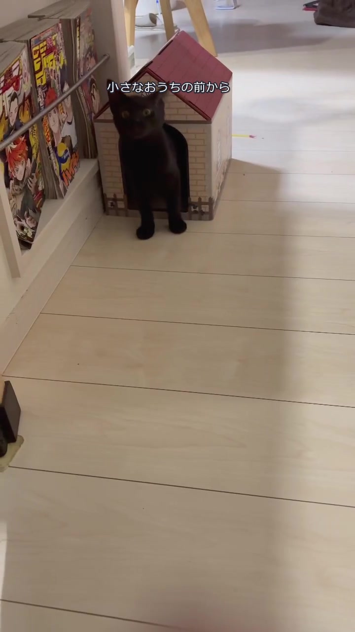 小さなおうちの前でこちらを見るキハチ
